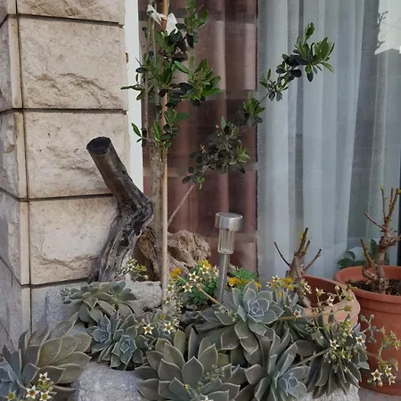 Antunovic Podgora (Split-Dalmatia)