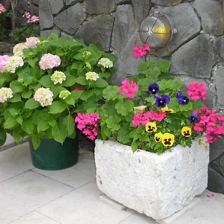 Antunovic Podgora